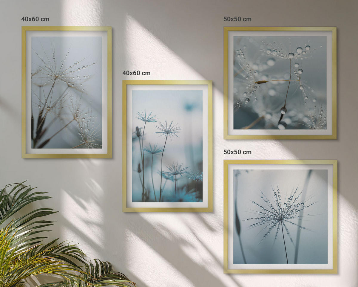 WANDBILDER 4er Set - 50x50 cm & 40x60 cm Goldrahmen - Löwenzahn-Wassertropfen - Goldfarben, Kunststoff (50/50cm) - ArtPrintCave