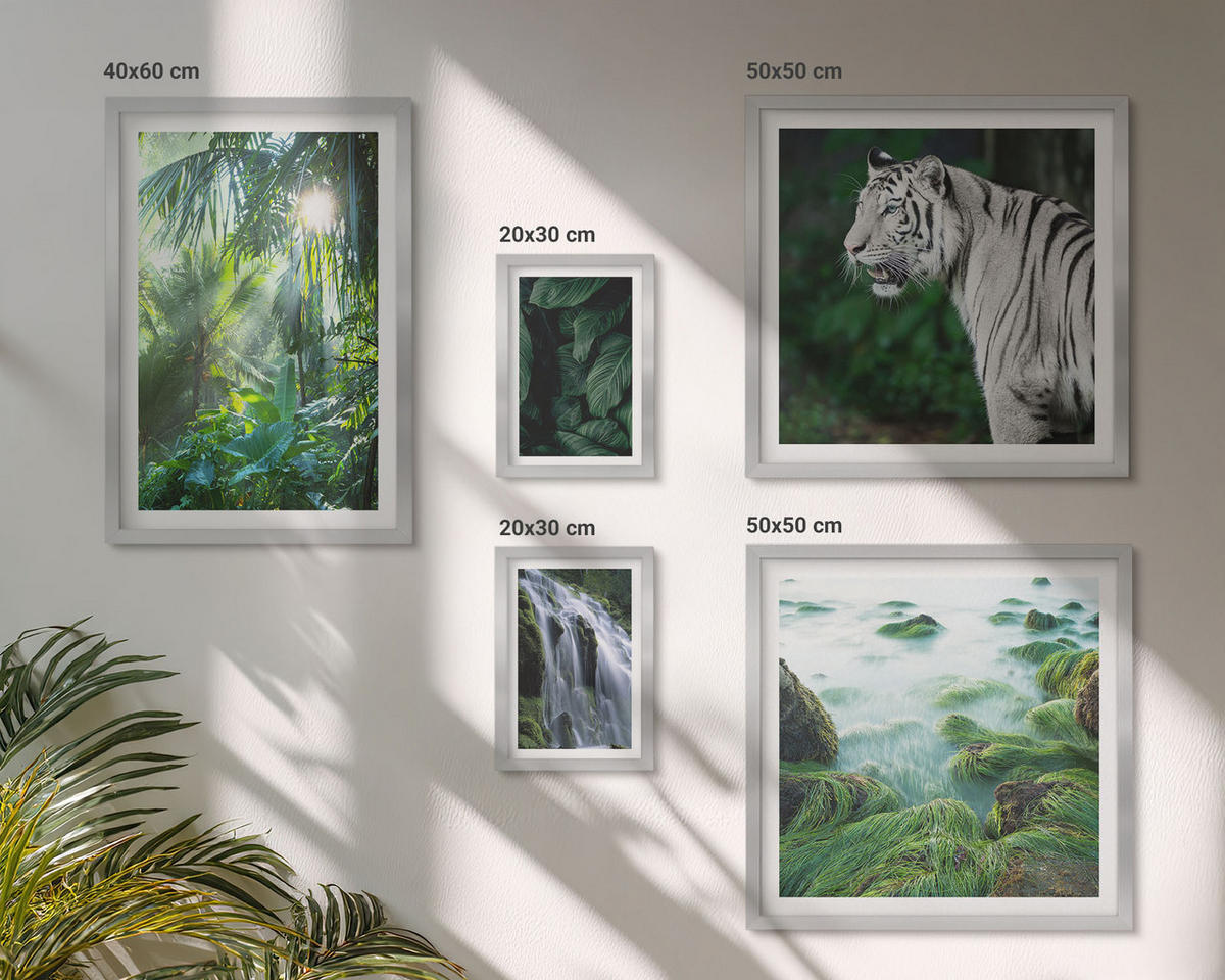 WANDBILDER 5er Set - 50x50 cm & 20x30 cm & 40x60 cm Silberner Rahmen - Blätter und Blüten in verschiedenen Farben - Silberfarben, Kunststoff (40/60cm) - ArtPrintCave