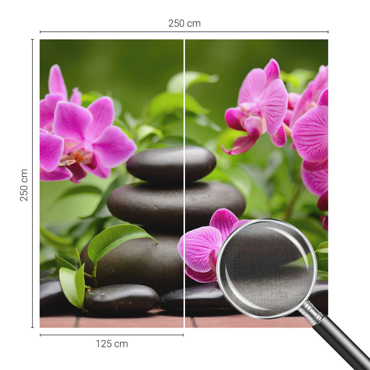 FOTOTAPETE 250x250 cm - Orchideensteine - Grün, Textil (250/250cm) - Wallfluent