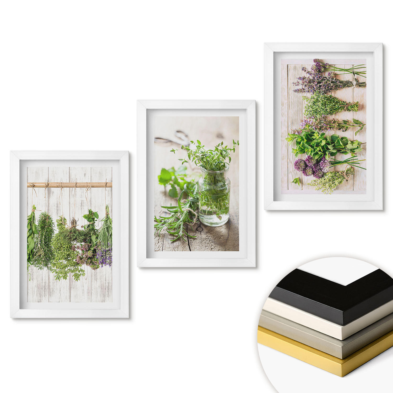 WANDBILDER 3er-Set - 20x30 cm Weißer Rahmen - Kräuterpflanzen für die Küche - Weiß, Kunststoff (20/30cm) - ArtPrintCave