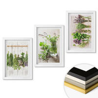 WANDBILDER 3er-Set - 20x30 cm Weißer Rahmen - Kräuterpflanzen für die Küche - Weiß, Kunststoff (20/30cm) - ArtPrintCave