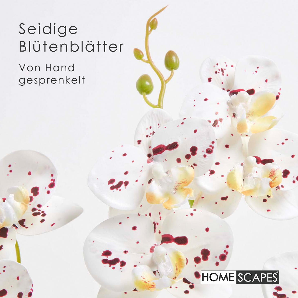 KUNSTBLUME Orchidee weiß-pink in Deko-Schale, 38 cm - Weiß, Kunststoff (38cm) - Homescapes