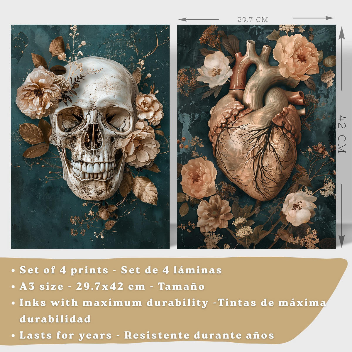 POSTER Set aus 4 Anatomie Drucke und Wandbilder mit Schädel Herz Gehirn Wirbelsäule Skelett Becken Klassisches Florales Design Größe Rahmenlos A3 - Klar, Papier (29.7/42/3cm) - Nacnic