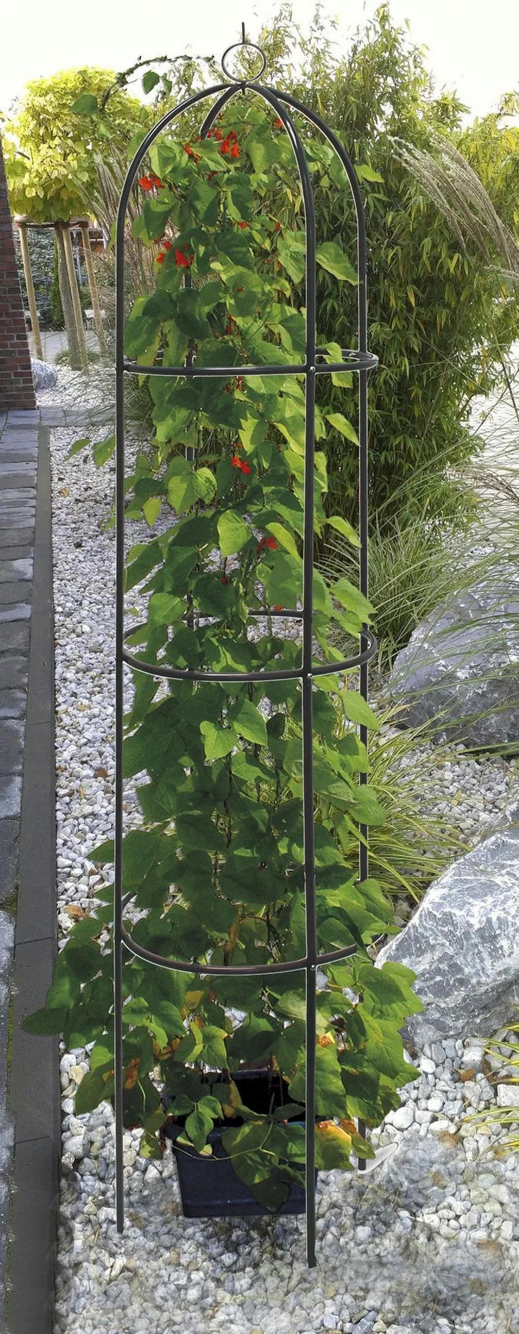 PFLANZSTÜTZE Rank-Obelisk, Ø 40 x 190 cm, Schwarz, Metall - Dunkelgrün, Metall (40/190/40cm) - Westfalia