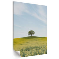 POSTER - 21x29 cm - digitalPhoto - Einsamer Baum - Gelb, Textil (21/29.7/0.1cm) - TULUP