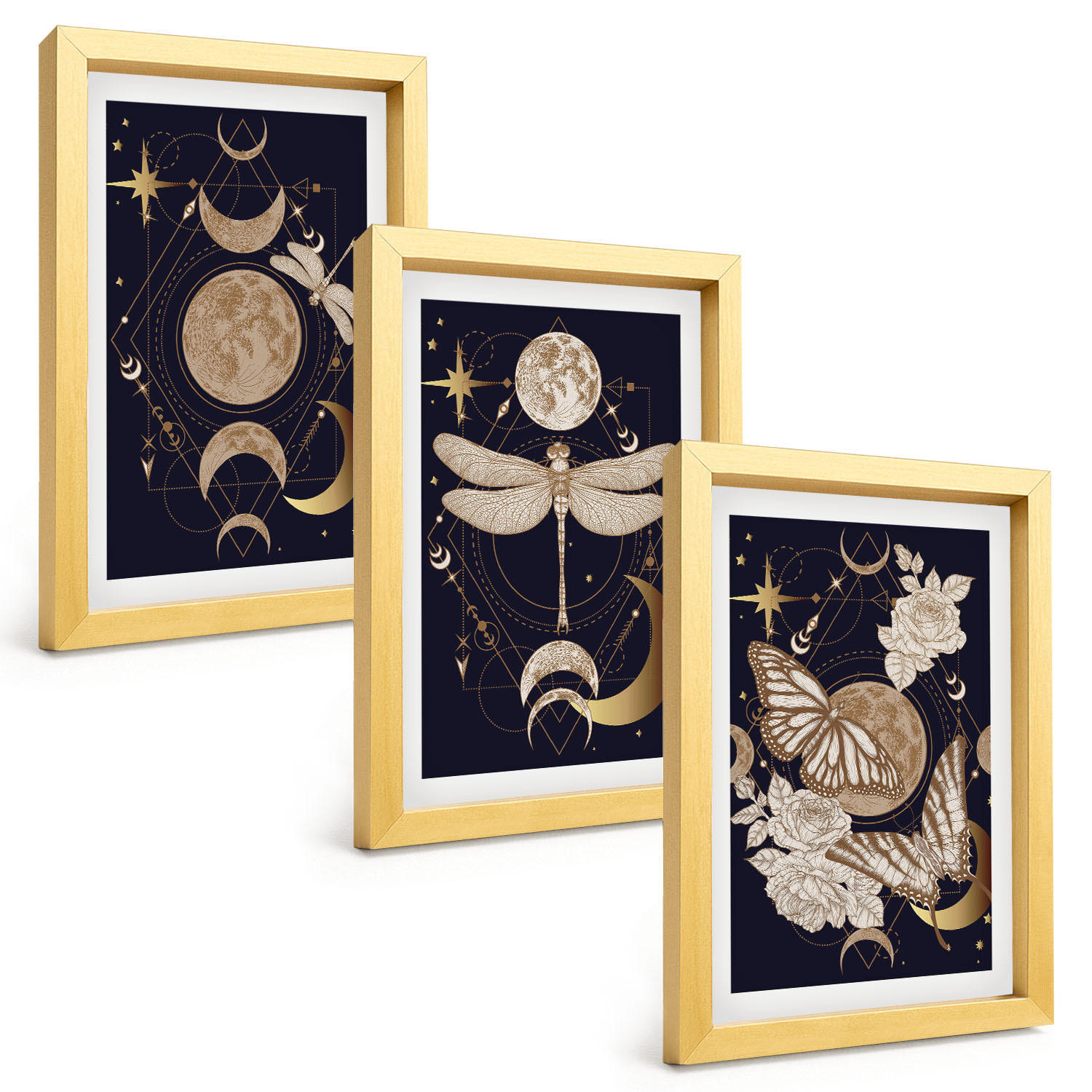 BILDER SET 3er Set - 20x30 cm Goldrahmen - Naturmotive Mondblumen - Goldfarben, Kunststoff (20/30cm) - TULUP