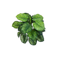 KUNSTPFLANZE Künstliche Calathea - Clara 45 cm - Grün, Kunststoff (45cm) - aplanta
