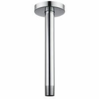 DUSCHARM mit Flansch 25 cm rund - Silberfarben, Metall (5/12.7/25cm)