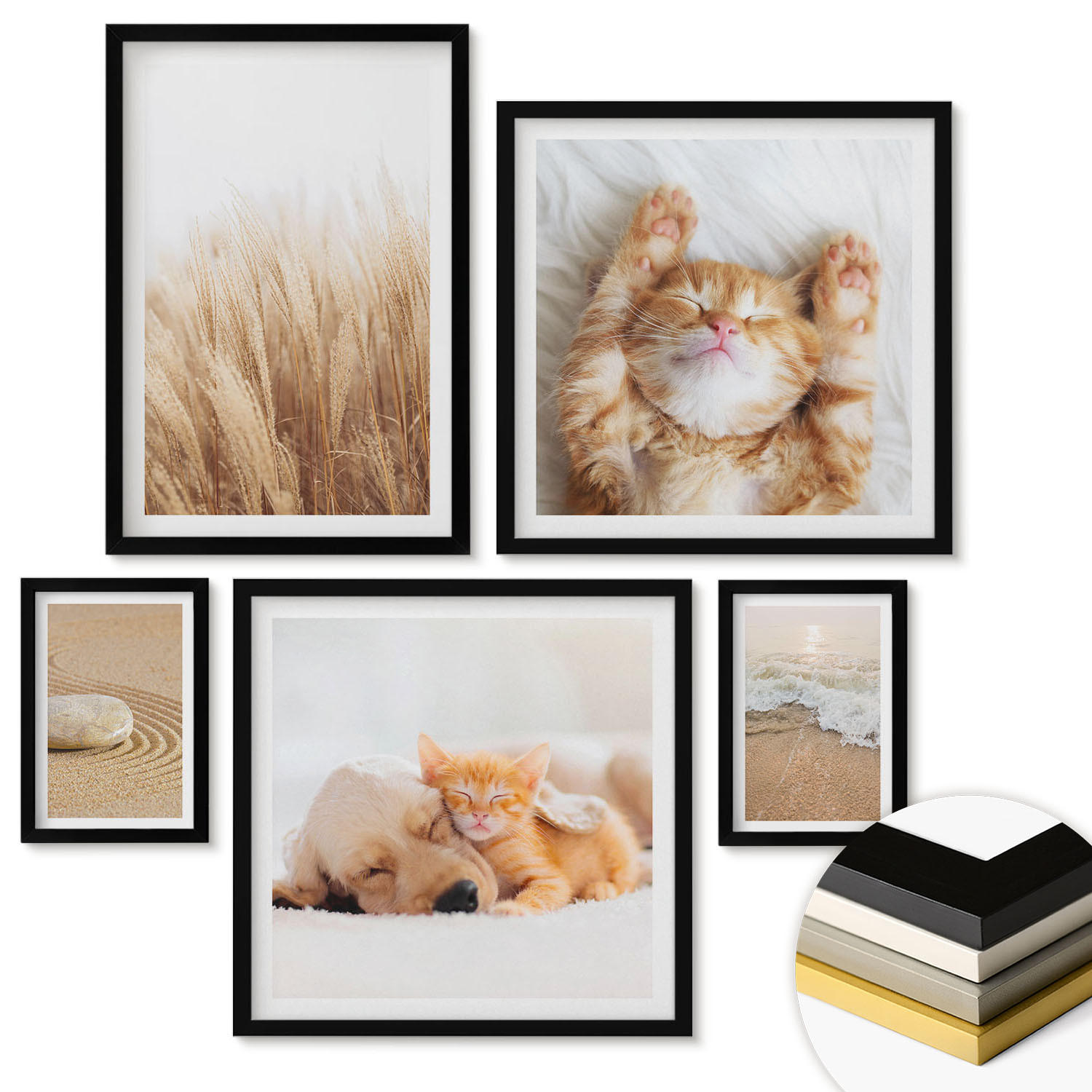 WANDBILDER 5er-Set - 50x50 cm & 20x30 cm & 40x60 cm Schwarzer Rahmen - Niedliche Tiere, Katzen, Hunde, Strand - Schwarz, Kunststoff (40/60cm) - ArtPrintCave
