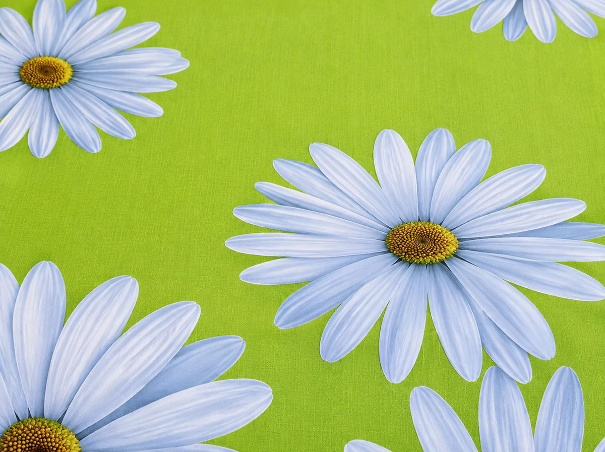 TISCHLÄUFER 40/140 cm Grün Margeriten Frühling Sommer - Grün, Textil (40/140cm) - TiborTex