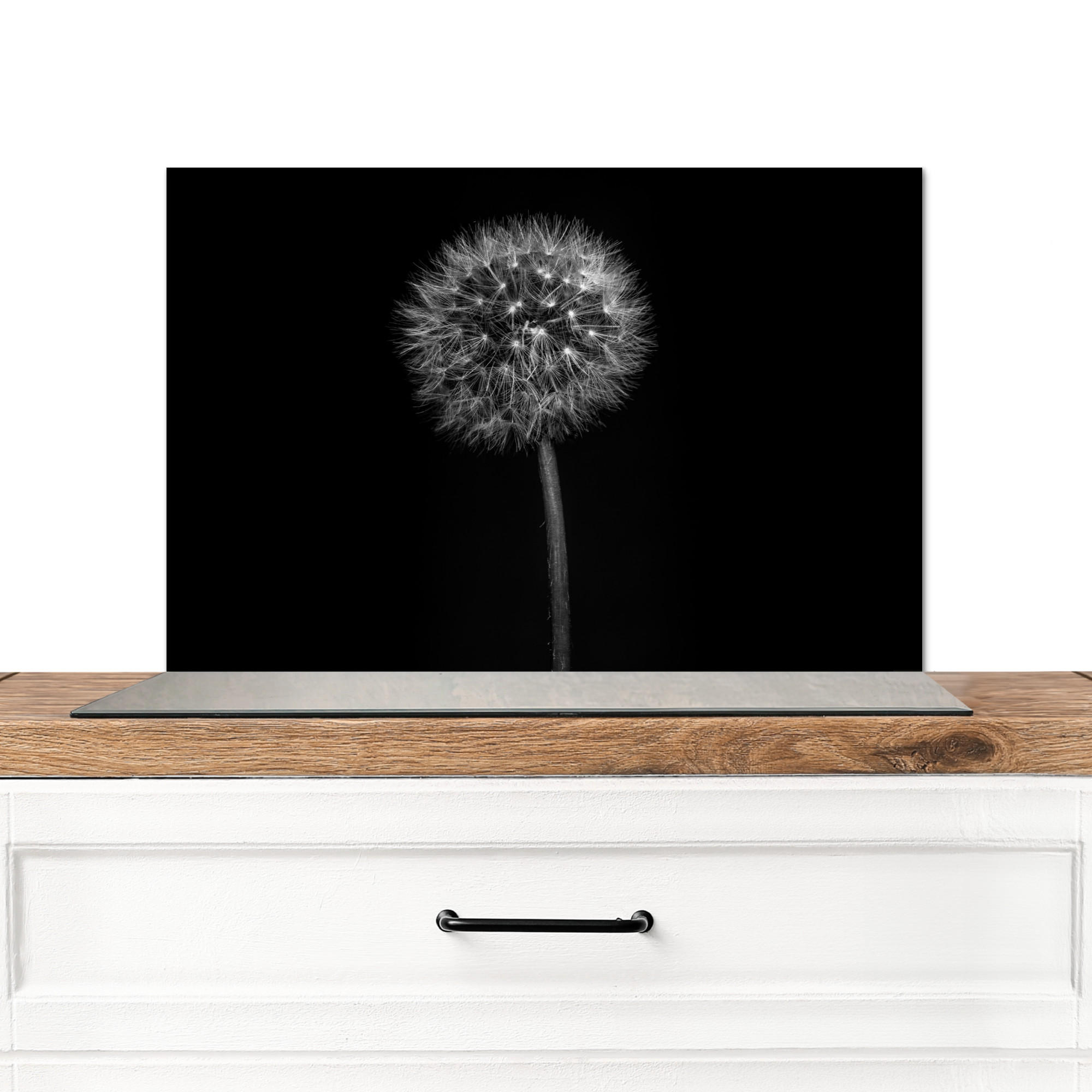 SPRITZSCHUTZ KÜCHE Löwenzahn - Schwarz - Floral - Botanisch 60x40 cm - Grau, Metall (60/0.3/40cm) - MuchoWow