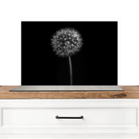 SPRITZSCHUTZ KÜCHE Löwenzahn - Schwarz - Floral - Botanisch 70x50 cm - Grau, Metall (70/0.3/50cm) - MuchoWow