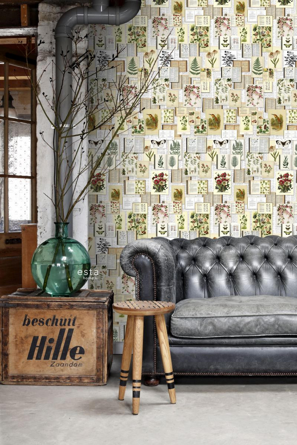 XXL-VLIESTAPETE Seiten aus botanischen Büchern 50 x 900 cm - Gelb, Papier (50/900cm) - ESTAhome