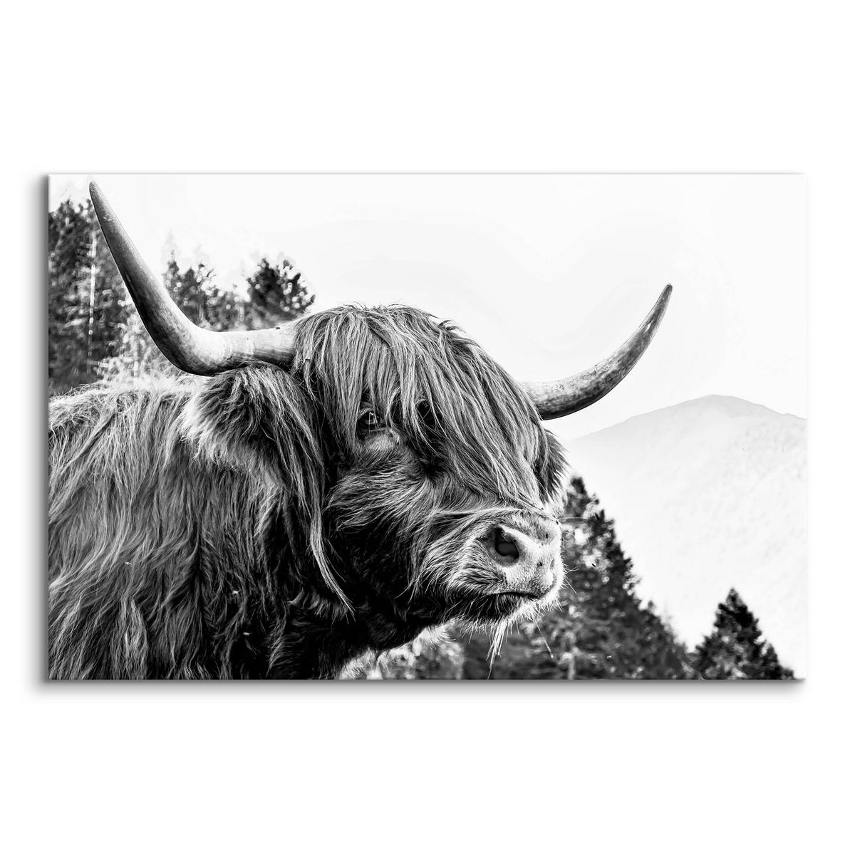 LEINWANDBILD für Wohnzimmer Schottische Kuh Bergen Natur 3D 90x60 - Schwarz/Weiß, Textil (90/60cm) - Muralo