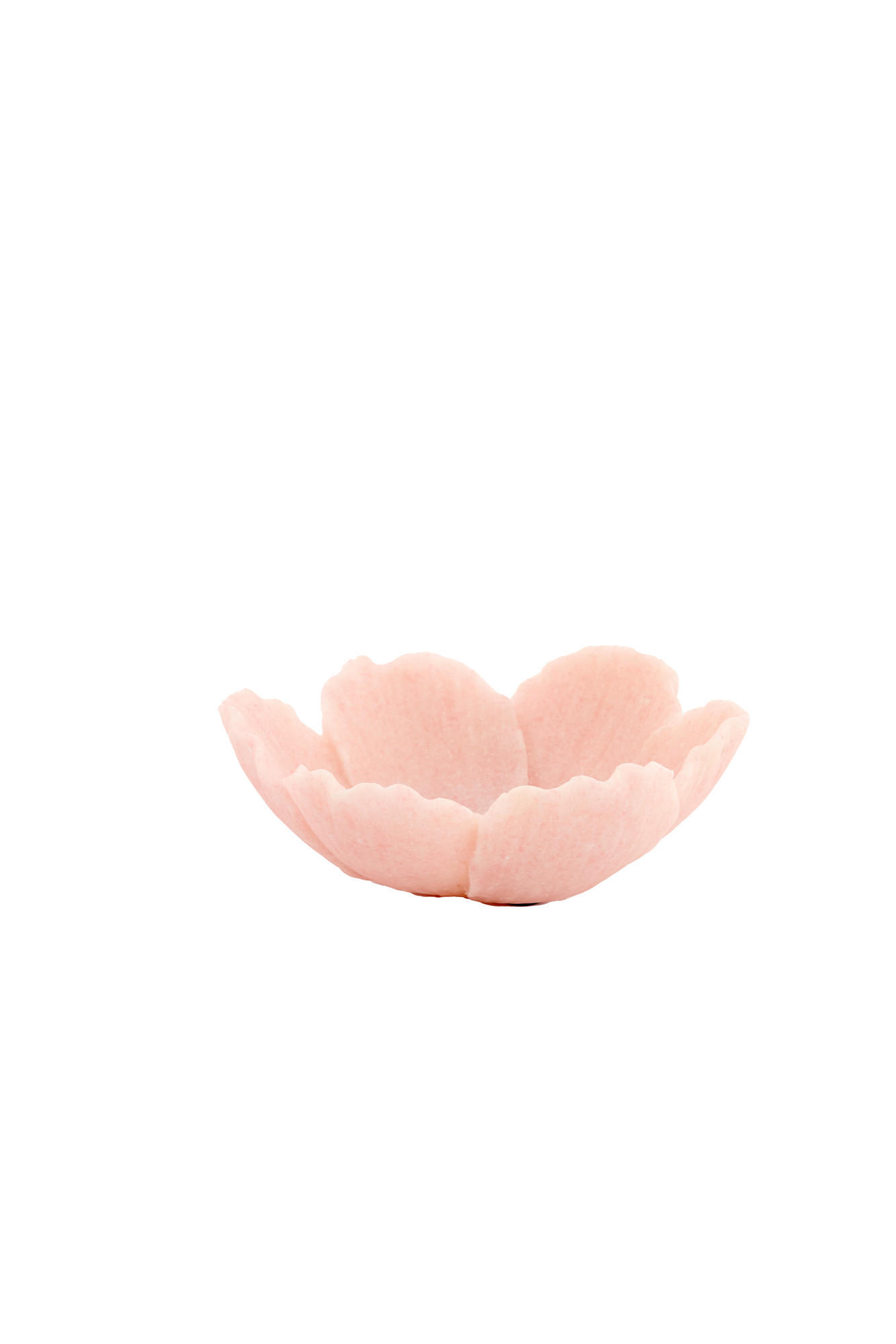 SCHALE Freesia Rosa Ø20,5/7,5 cm - Pink, Kunststoff (7.5cm) - Light & Living