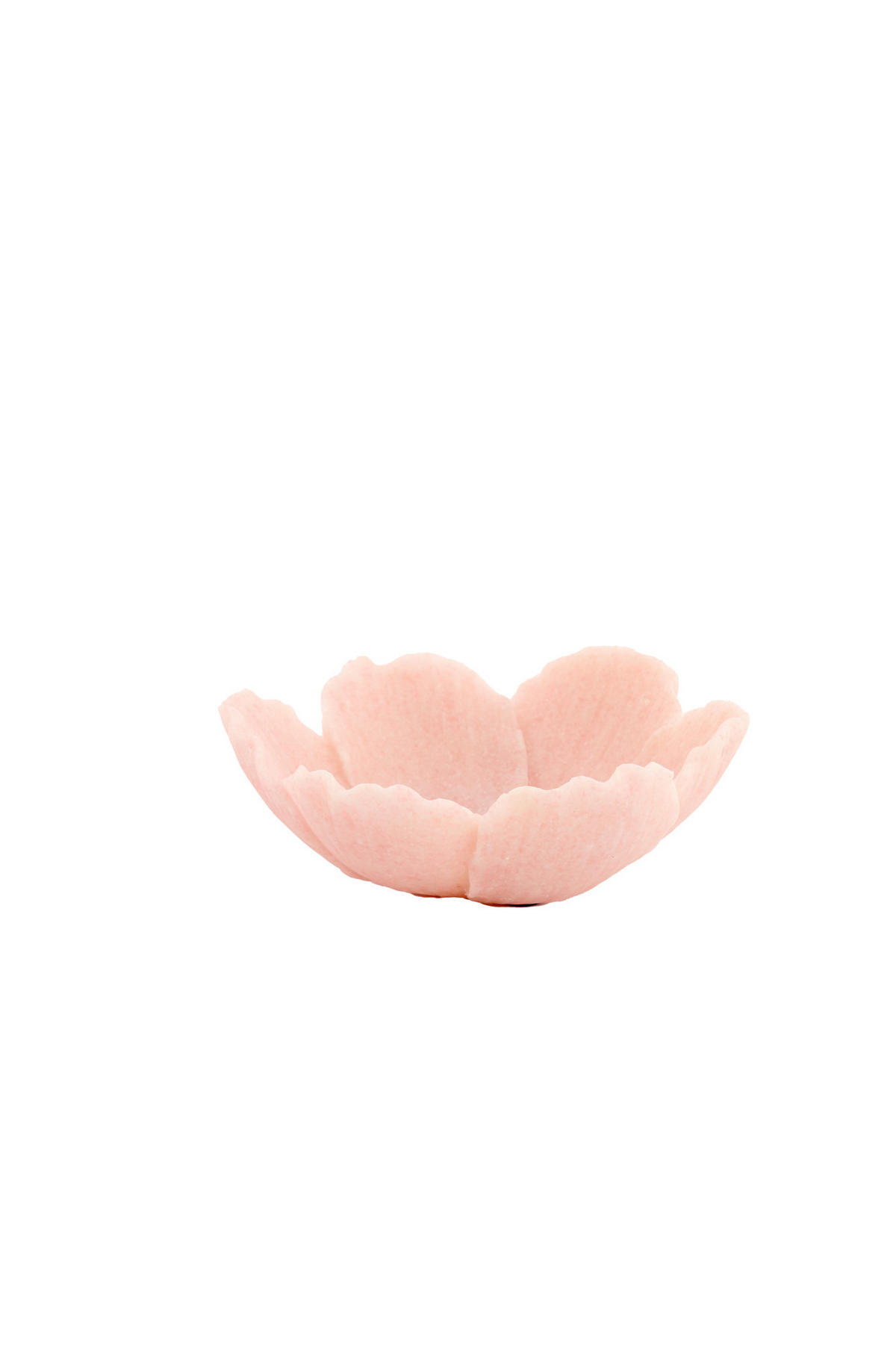 SCHALE Freesia Rosa Ø20,5/7,5 cm - Pink, Kunststoff (7.5cm) - Light & Living