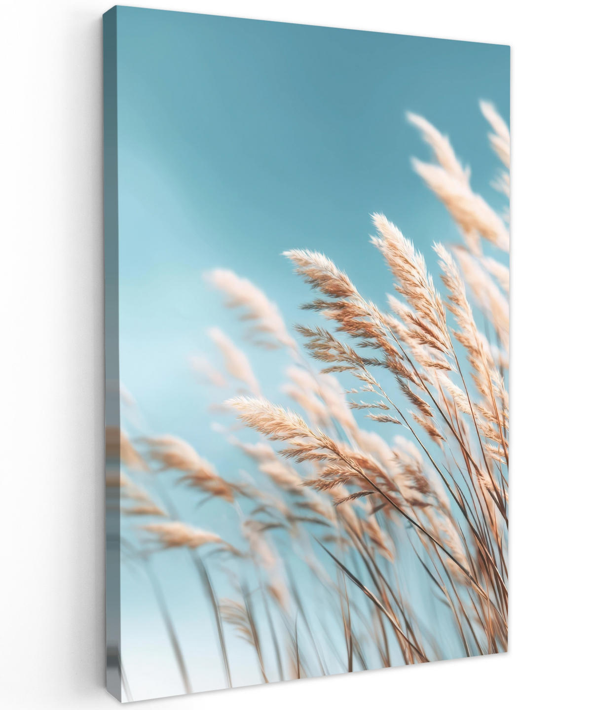 LEINWANDBILD Ziergras - Wind - Hellbraun Deko XXL 80x120 cm - Hellblau, Textil (80/120cm) - MuchoWow
