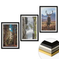 WANDBILDER 3er-Set - 40x60 cm Schwarzer Rahmen - Straße Wald Berge Hirsch Natur - Schwarz, Kunststoff (40/60cm) - ArtPrintCave