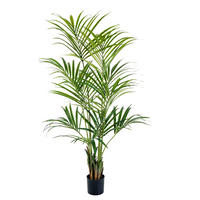 KUNSTBAUM Künstliche Kentia Palme - Cataleya 172 cm - Grün, Kunststoff (172cm) - aplanta
