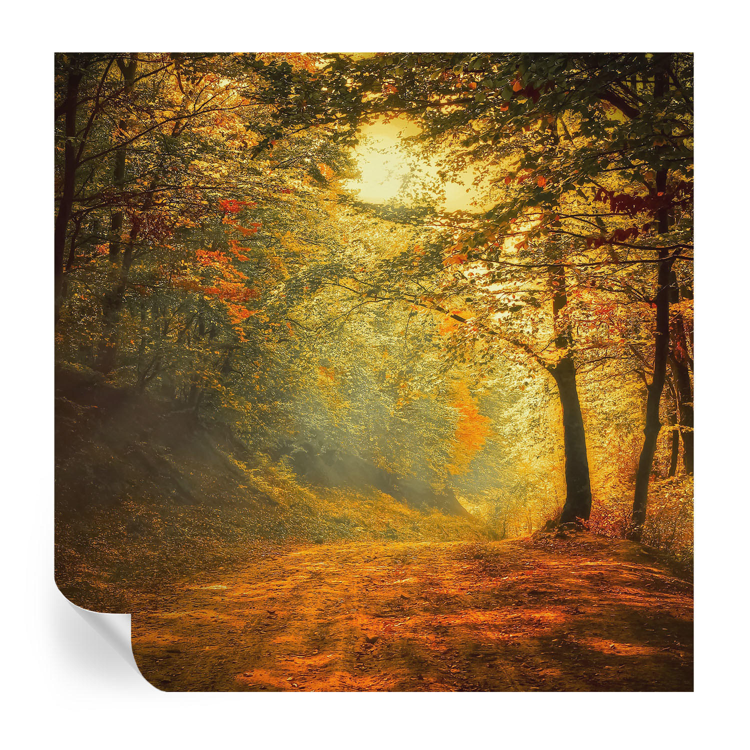 Wallfluent Fototapete Gelb 250x250 cm