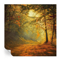 FOTOTAPETE 250x250 cm - Herbstlandschaft - Gelb, Textil (250/250cm) - Wallfluent