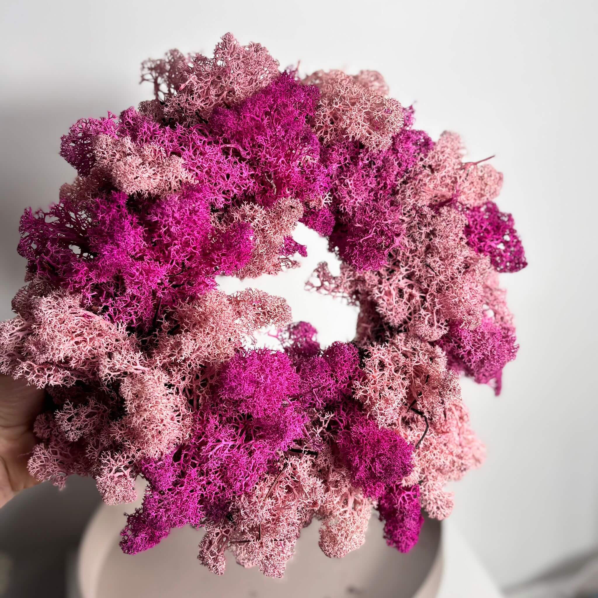 REINDEER-MOOS: Isländischer Reindeermooskranz - rosa/pink - Rosa - Rosa, Naturmaterialien (30cm) - Lykke & You