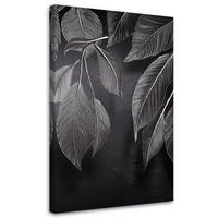 LEINWANDBILD Minimalismus hinterlässt Pflanzen schwarz und weiß 40x60cm - Grau, Textil (40/60cm) - Feeby
