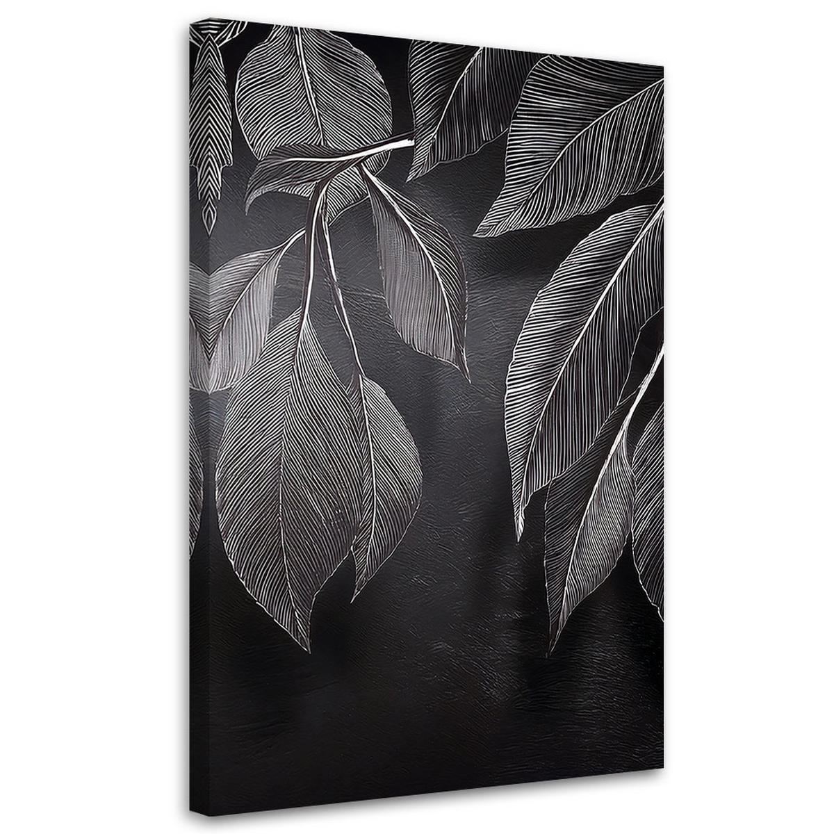 LEINWANDBILD Minimalismus hinterlässt Pflanzen schwarz und weiß 40x60cm - Grau, Textil (40/60cm) - Feeby
