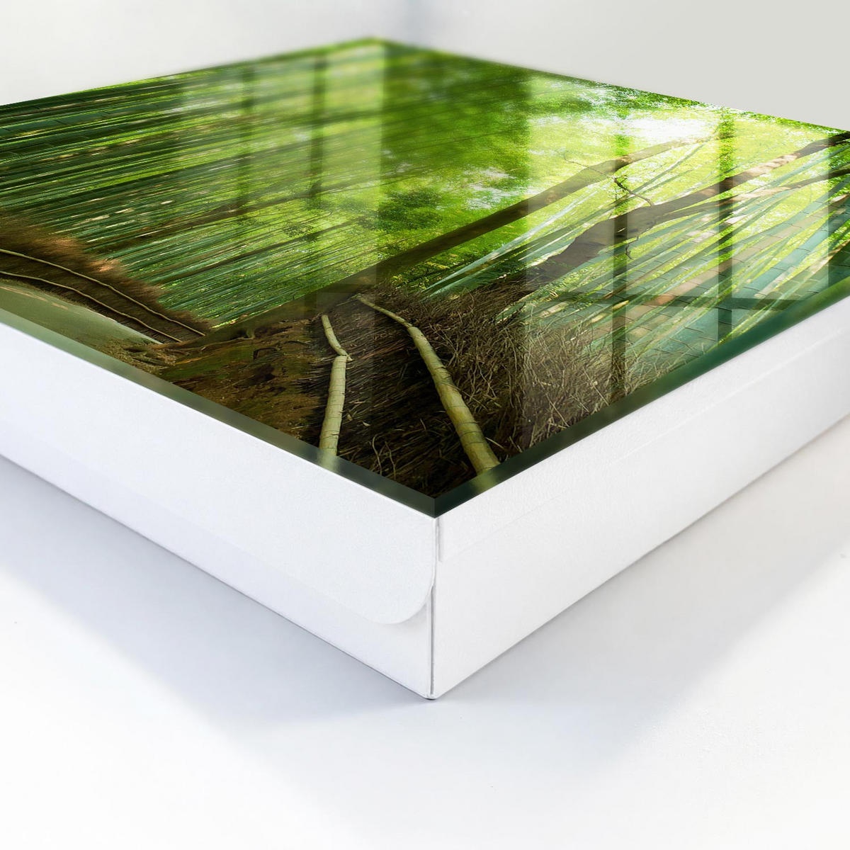 SCHLÜSSELBOX Weiß 30x30 cm – Türöffnung nach rechts - Bambusweg - Grün, Metall (30/30/5cm) - TULUP