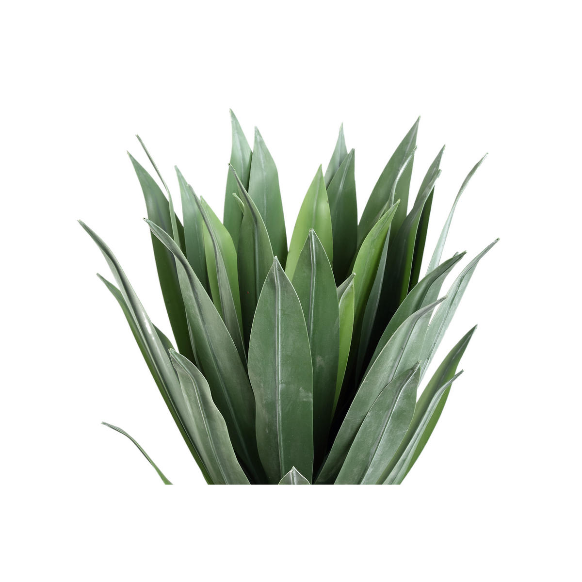 KUNSTPFLANZE Succulent Grün 65/65/55cm - Grün, Kunststoff (55cm) - PTMD Collection