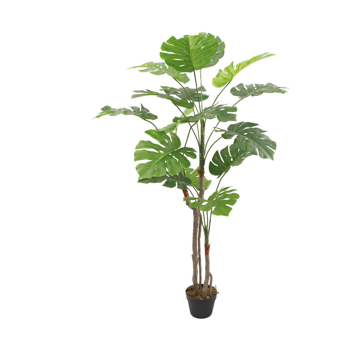 KUNSTPFLANZE Monstera 155 cm - Grün, Kunststoff (155cm)