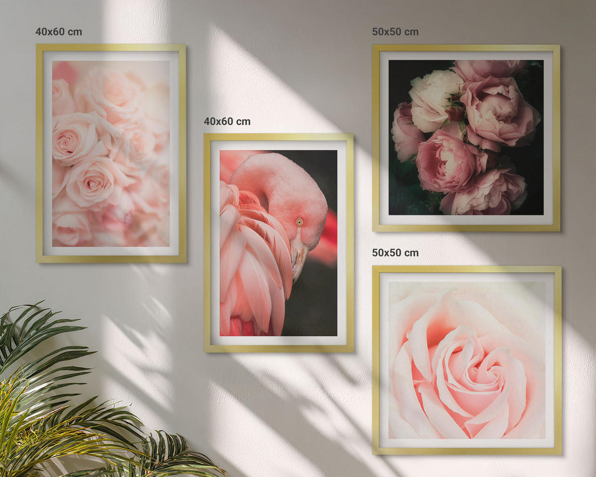 WANDBILDER 4er Set - 50x50 cm & 40x60 cm Goldrahmen - Pastellrosa Flamingos - Goldfarben, Kunststoff (50/50cm) - ArtPrintCave