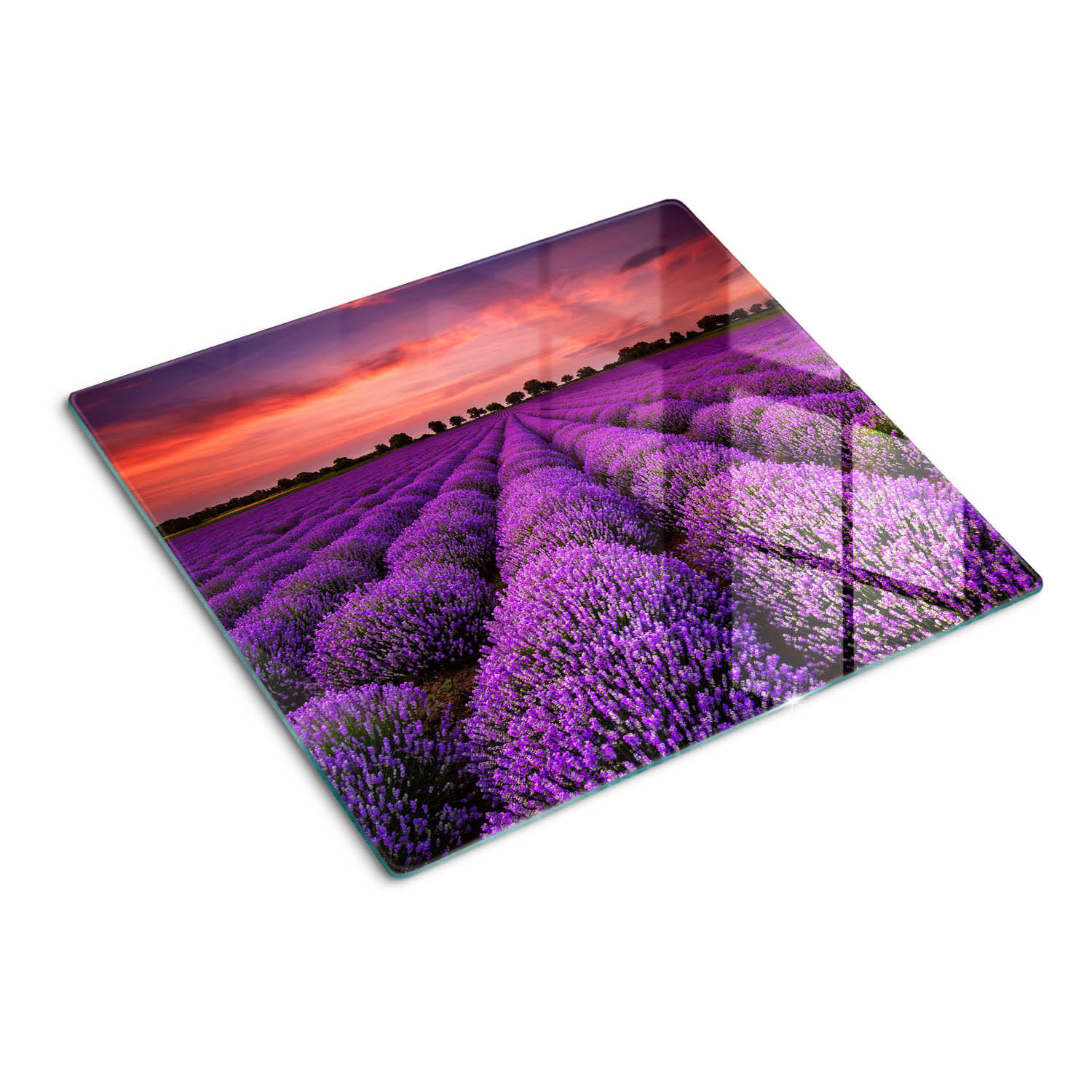 GLASPLATTE 60x52 cm Lavendelfeld - Lila, Glas (60/0.4/52cm) - TULUP