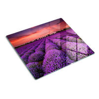 GLASPLATTE 60x52 cm Lavendelfeld - Lila, Glas (60/0.4/52cm) - TULUP
