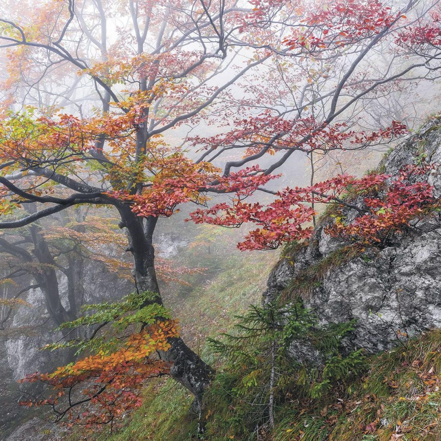 FOTOTAPETE Landschaft 300 x 200 cm - Multicolor, Papier (300/200cm) - Sanders & Sanders