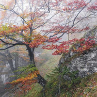 FOTOTAPETE Landschaft 300 x 200 cm - Multicolor, Papier (300/200cm) - Sanders & Sanders