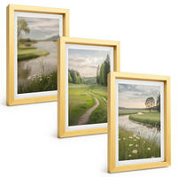 BILDER SET 3er Set - 20x30 cm Goldrahmen - Sommerliche Flusswiesen voller Blumen - Goldfarben, Kunststoff (20/30cm) - TULUP