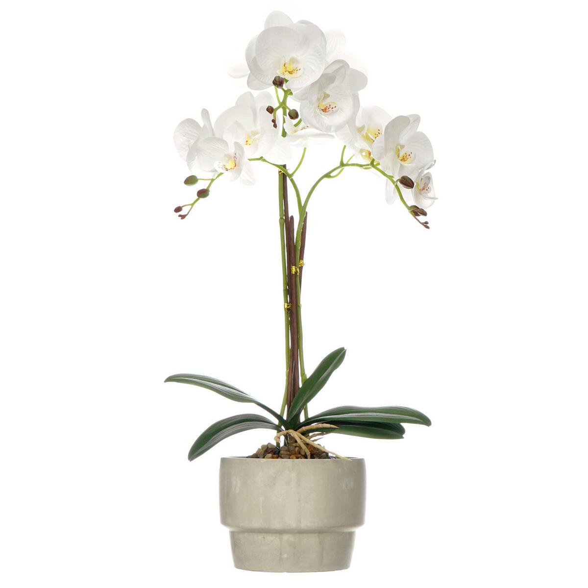 KÜNSTLICHE ORCHIDEE Zementtopf Orchi 56 cm - Multicolor, Kunststoff (56cm) - Ibergarden
