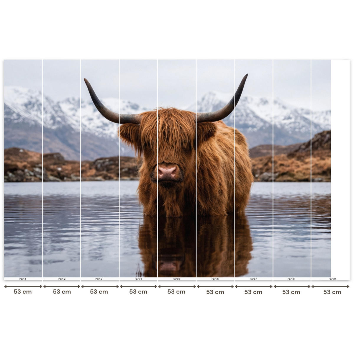 TAPETE - Schottischer Hochländer - Braun - Wasser - 450x300 cm - Braun, Papier (450/300cm) - OnlyWow