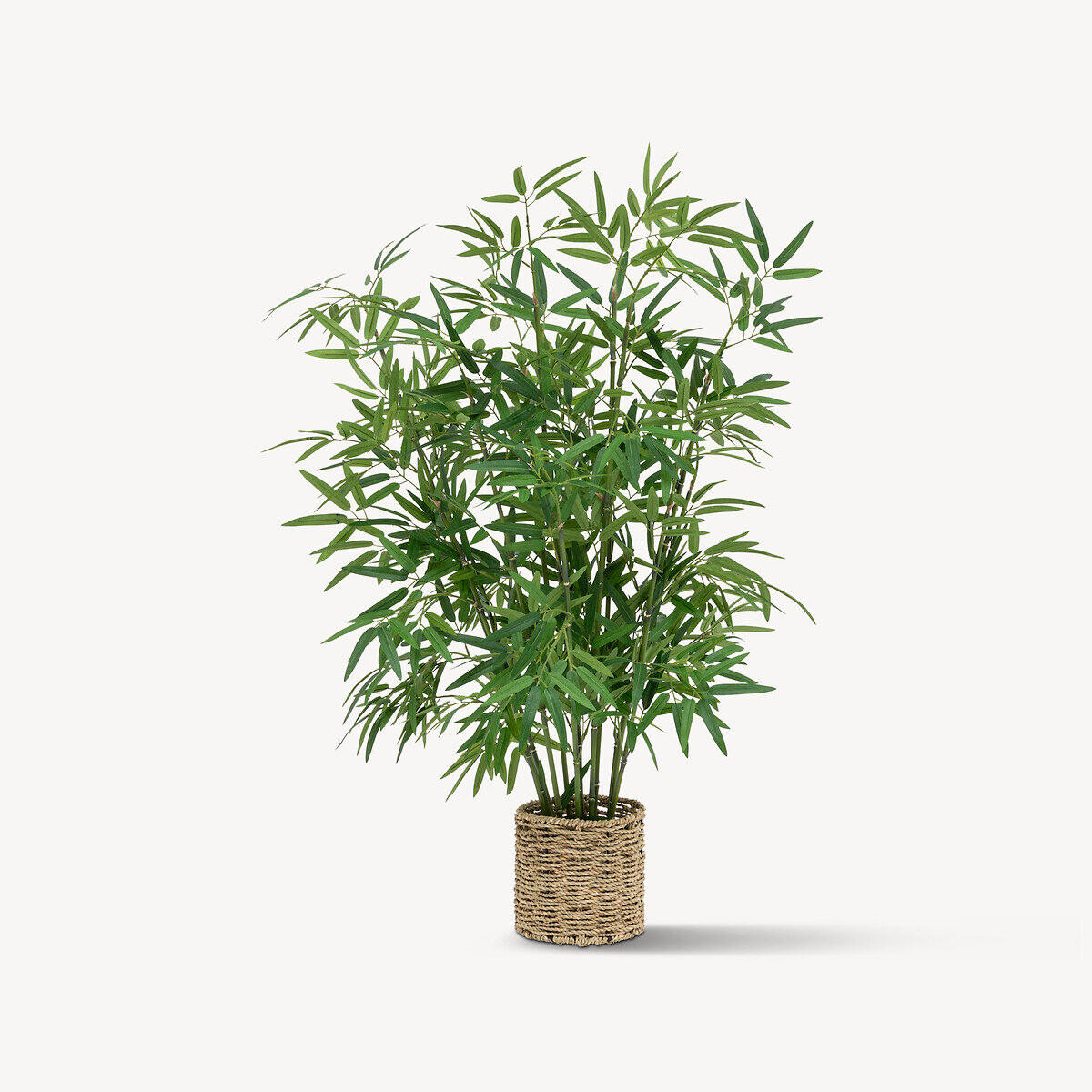 KÜNSTLICHE BAMBUSPFLANZE 100 cm - Grün, Textil (100cm) - Atmosphera Createur d´interieur