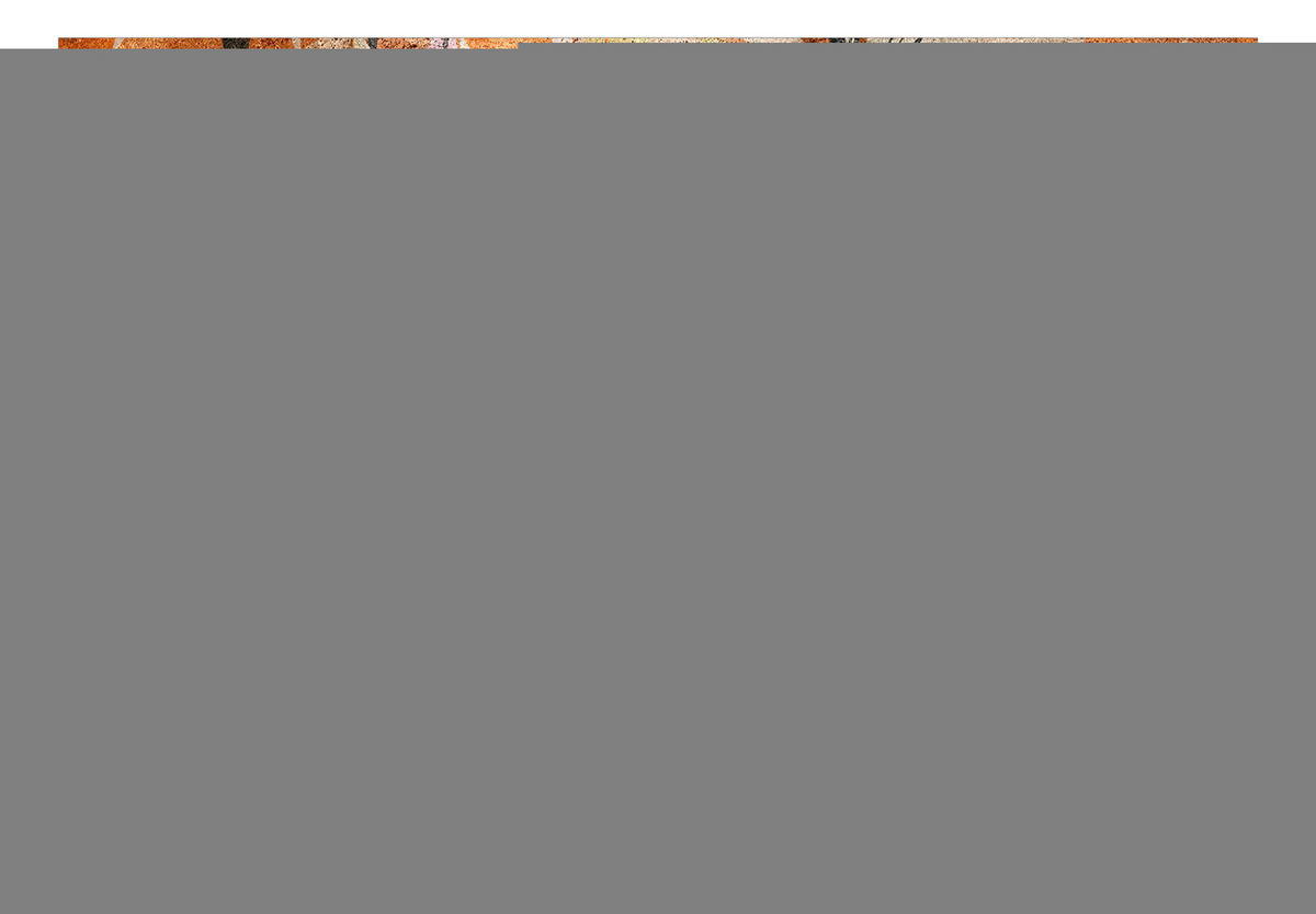 VLIESTAPETE Pastell 300/210 cm - Beige/Multicolor, Textil (300/1cm) - KUNSTLOFT