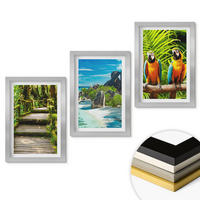 WANDBILDER 3er Set - 20x30 cm Silberner Rahmen - Tropischer Wald Papageienwasserfall - Silberfarben, Kunststoff (20/30cm) - ArtPrintCave