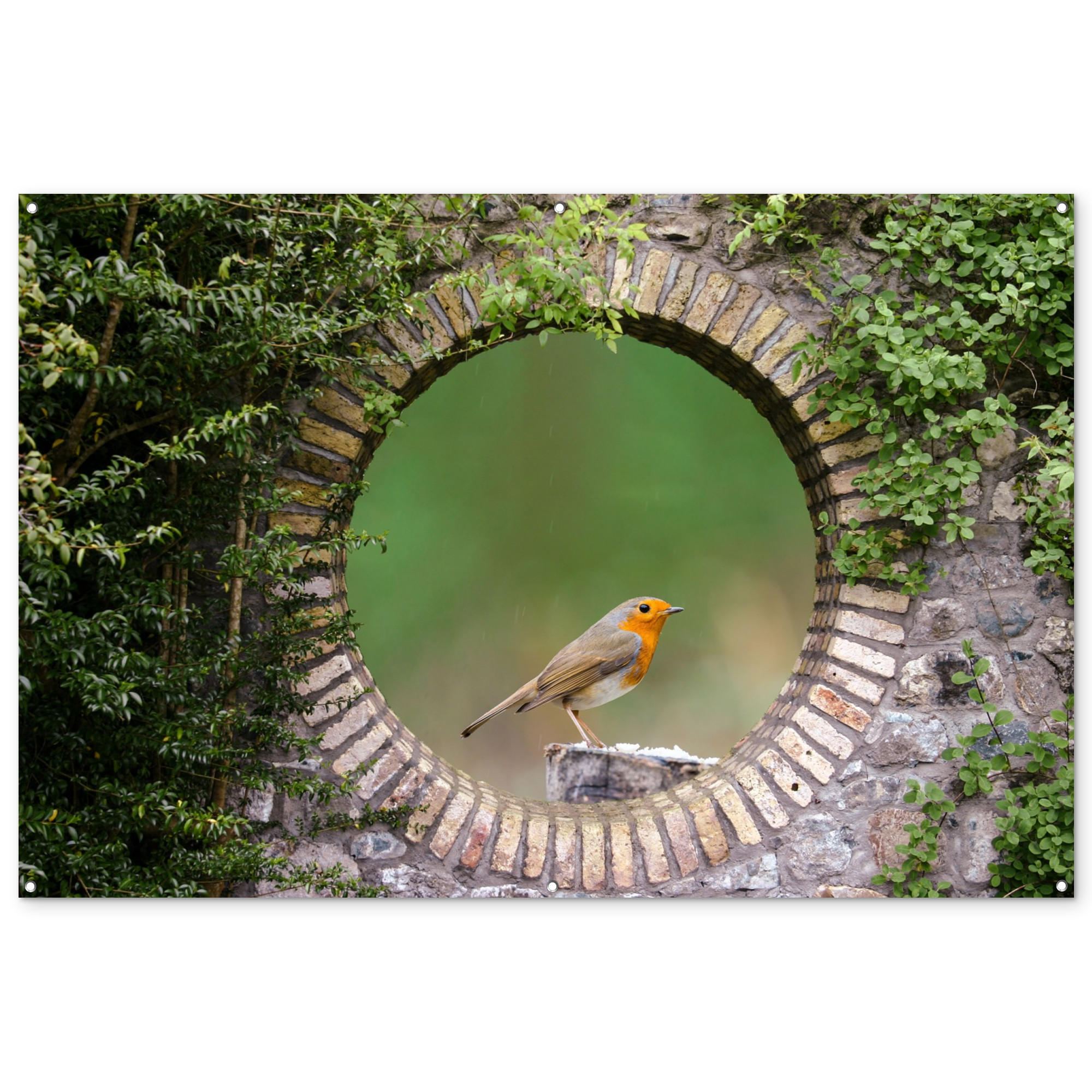 GARTENPOSTER Vogel - Durchblick - Rotkehlchen 180x120 cm - Grün, Kunststoff (180/120/0.2cm) - OnlyWow