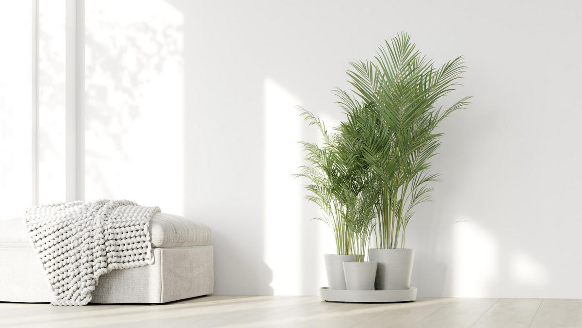 BLUMENTOPF Dubai 56,5/30,7 cm Weiß - Weiß, Kunststoff (56.5/30.7cm) - Ecopots