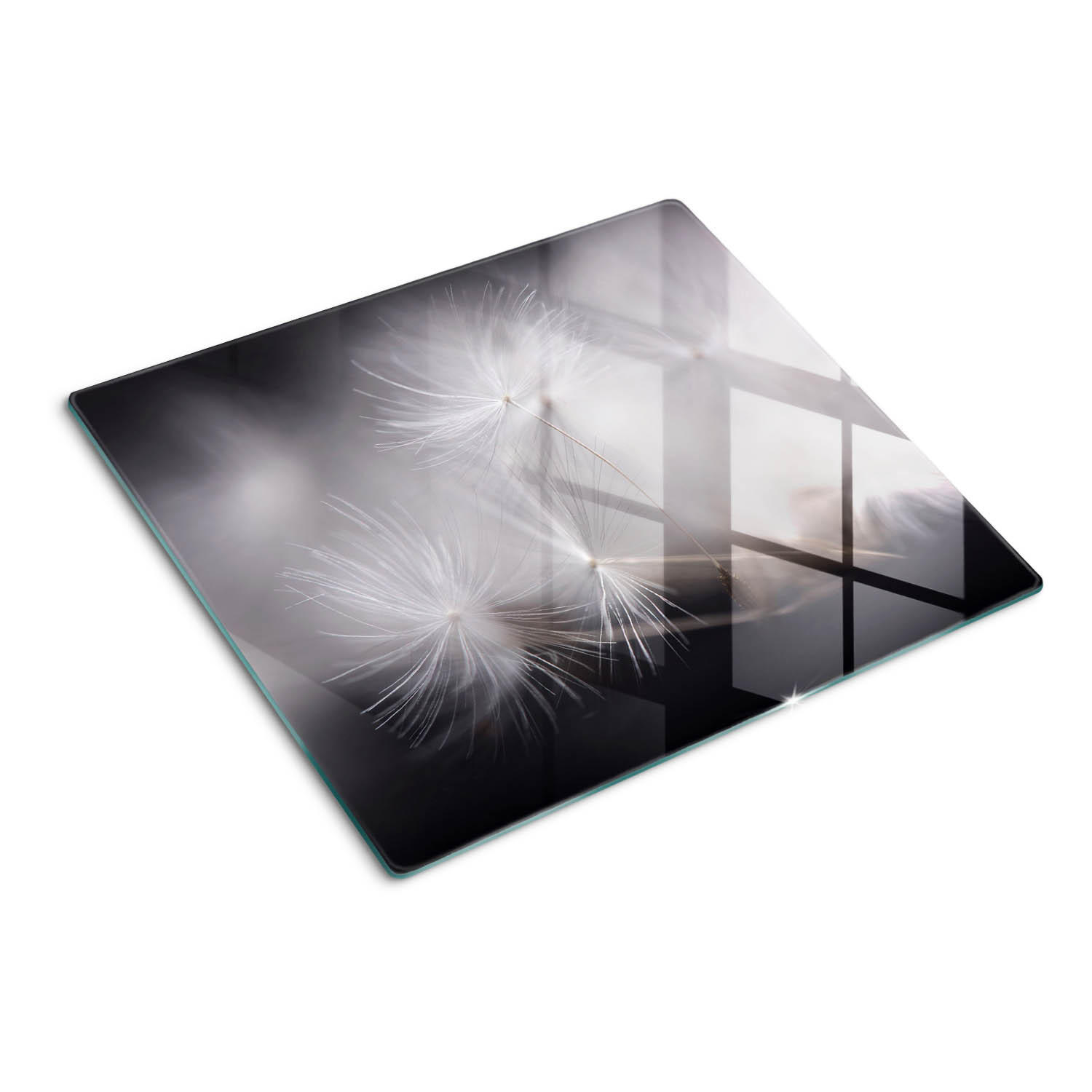 GLASPLATTE 60x52 cm Löwenzahn - Schwarz, Glas (60/0.4/52cm) - TULUP
