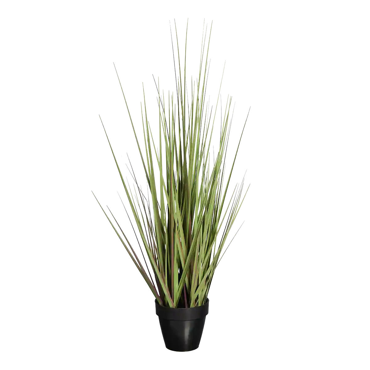 GRÄSER Künstliches Gras - Chiara 60 cm - Grün, Kunststoff (60cm) - aplanta