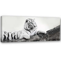 BILD AUF LEINWAND Tiger Wildtiere Natur 90x30cm - Grau, Textil (90/30cm) - Feeby