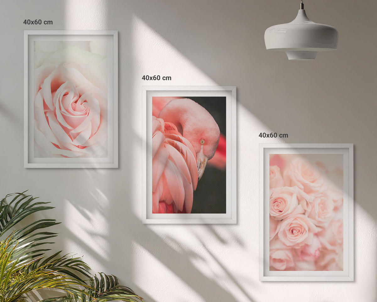 WANDBILDER 3er-Set - 40x60 cm Weißer Rahmen - Zartrosa Flamingos - Weiß, Kunststoff (40/60cm) - ArtPrintCave