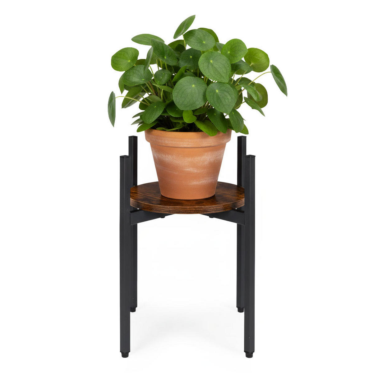 BLUMENSTÄNDER RONDO Braun - Schwarz - Schwarz/Braun, Holzwerkstoff/Metall (35/35/41.5cm) - Mat-Haus