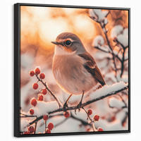 LEINWAND Bilder mit Rahmen - Vogel - Zweig - Winter - Tiere - Schnee - 50x50 - Bernsteinfarben, Textil (50/50cm) - MuchoWow